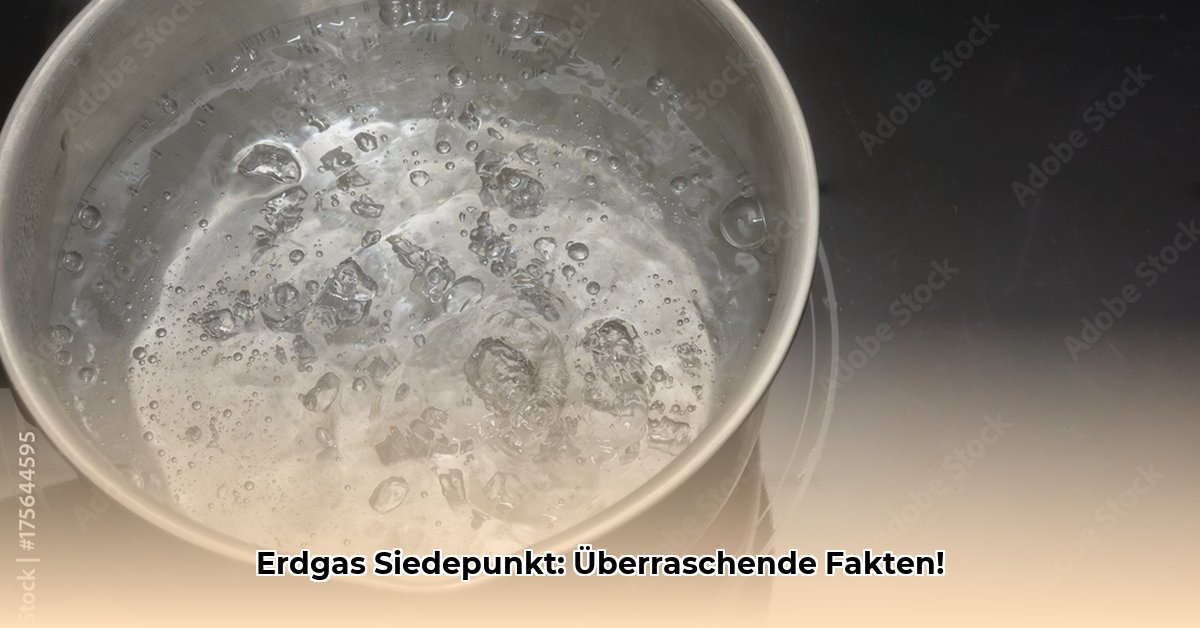 siedepunkt-erdgas